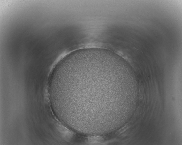 X0000068311454200604281723