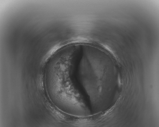 X0000068311455200604281723