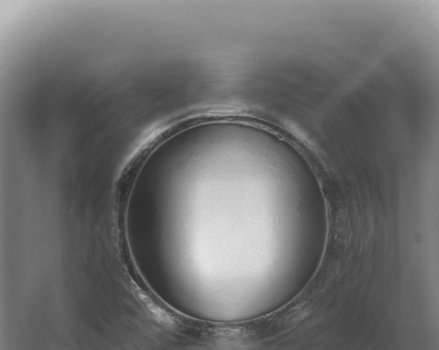 X0000068311456200604281723