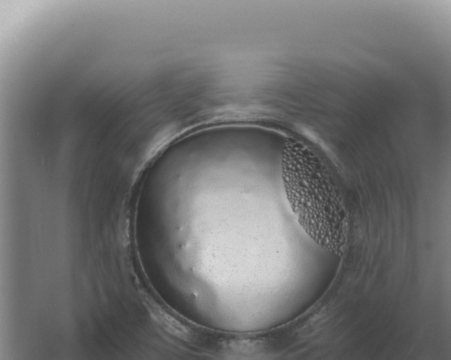 X0000068311459200604281723