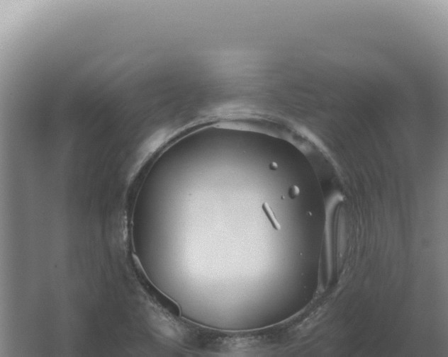 X0000068311461200604281723