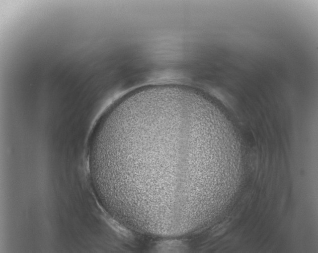 X0000068311462200604281723