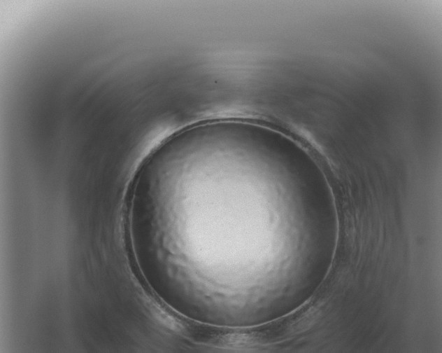 X0000068311463200604281723