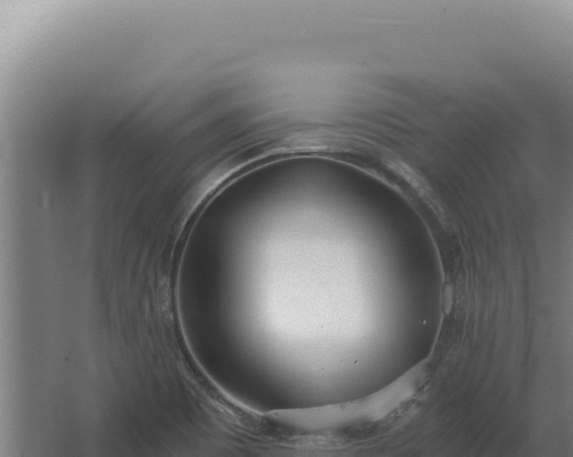 X0000068311465200604281723