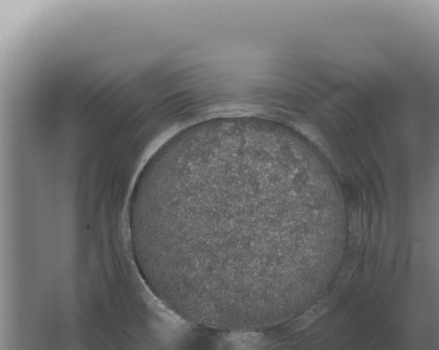 X0000068311466200604281723