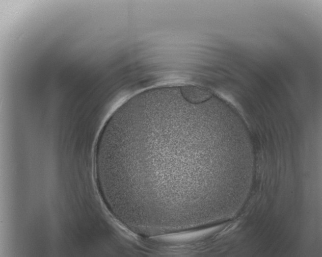 X0000068311467200604281723