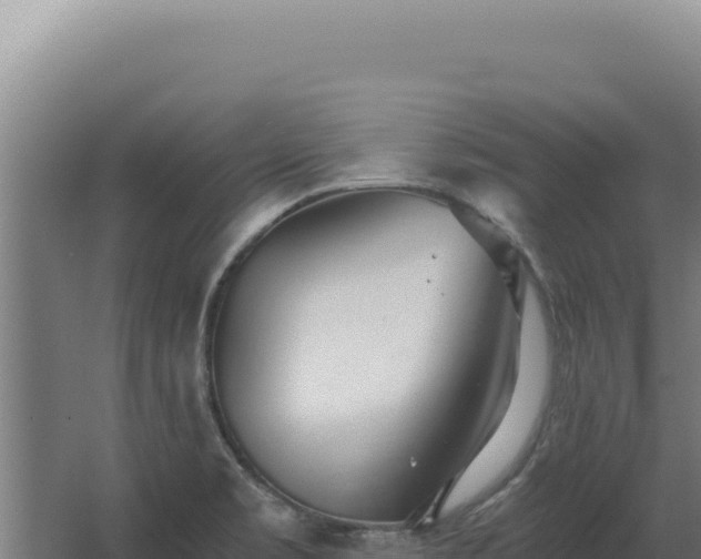 X0000068311469200604281723