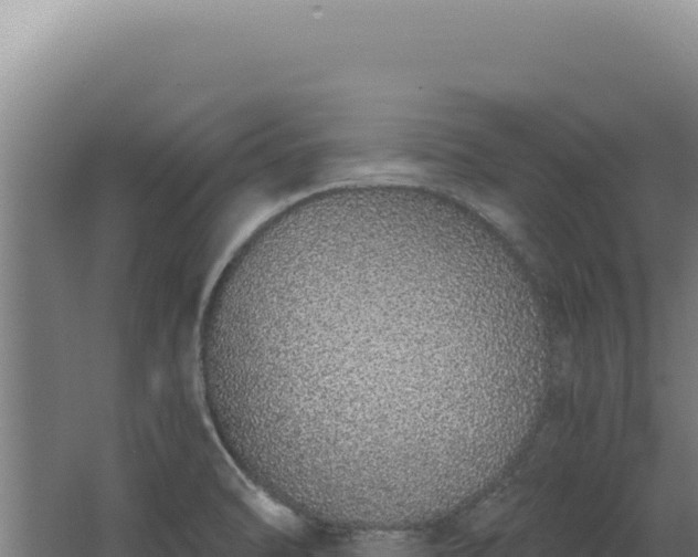 X0000068311470200604281723