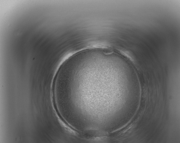 X0000068311471200604281723