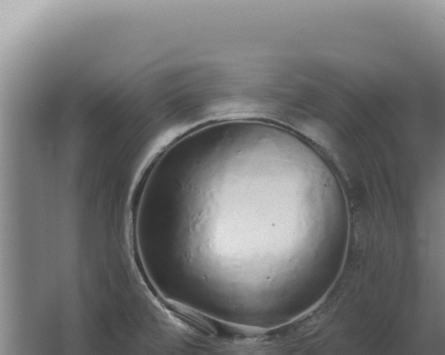 X0000068311472200604281723