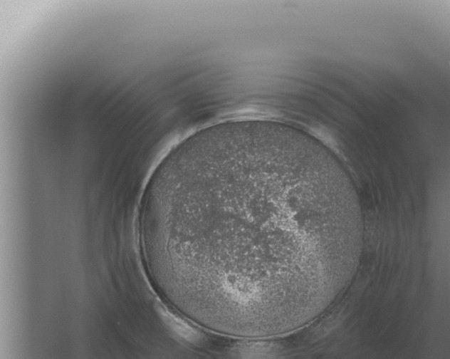 X0000068311474200604281723