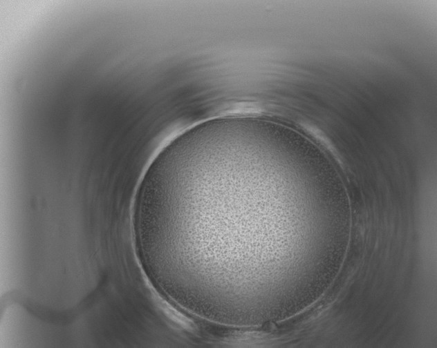 X0000068311475200604281723