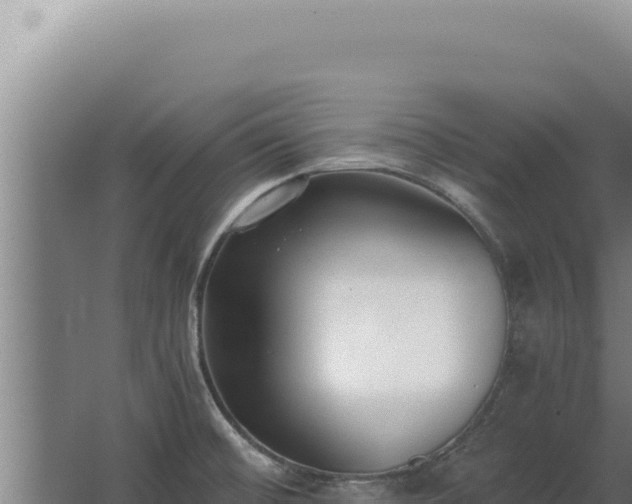 X0000068311476200604281723