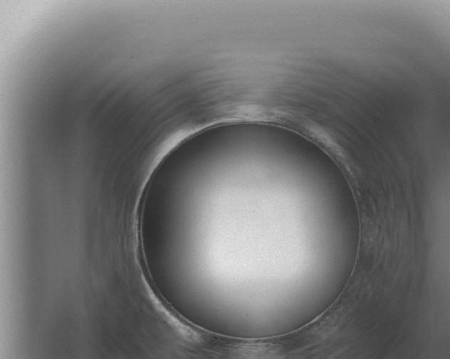 X0000068311479200604281722