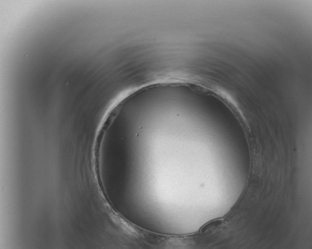 X0000068311480200604281722