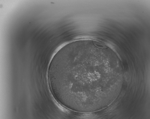 X0000068311482200604281722