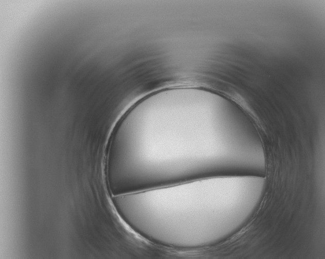 X0000068311484200604281722