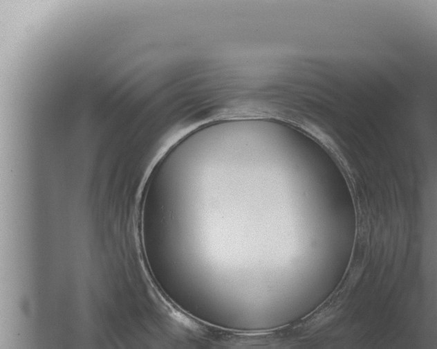 X0000068311486200604281722