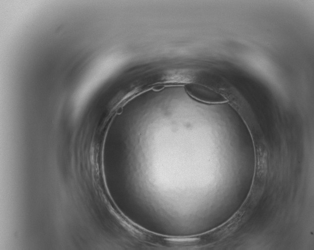 X0000068311487200604281722