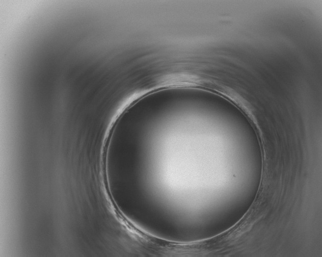 X0000068311488200604281722