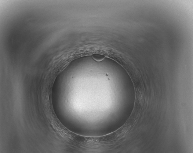 X0000068311489200604281721