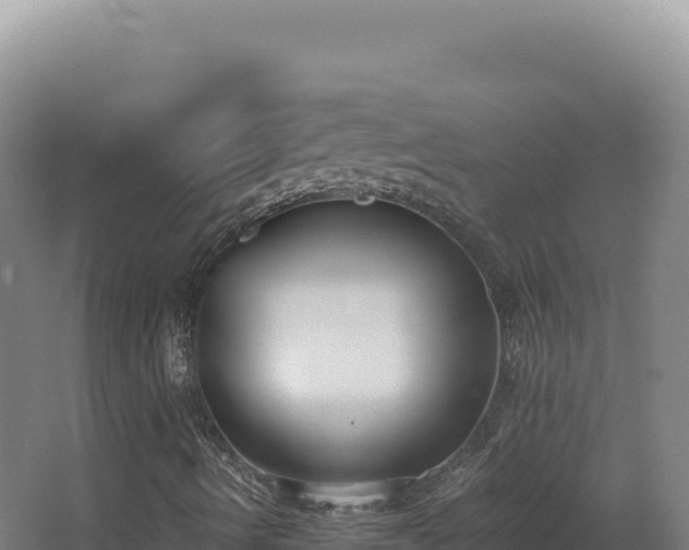 X0000068311490200604281722