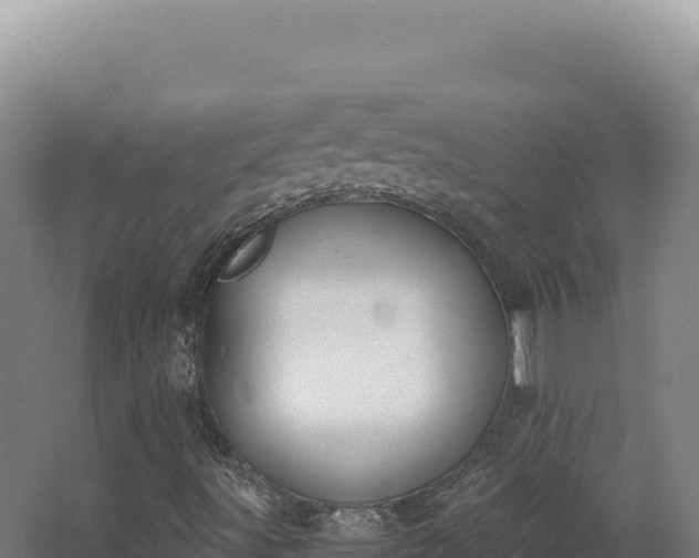 X0000068311491200604281722