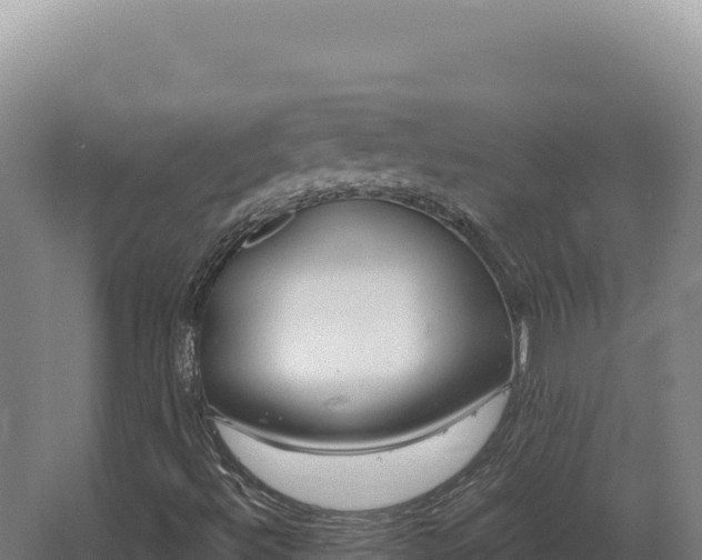 X0000068311492200604281722