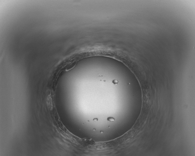 X0000068311493200604281722