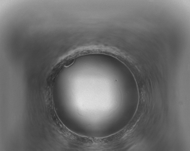 X0000068311494200604281722