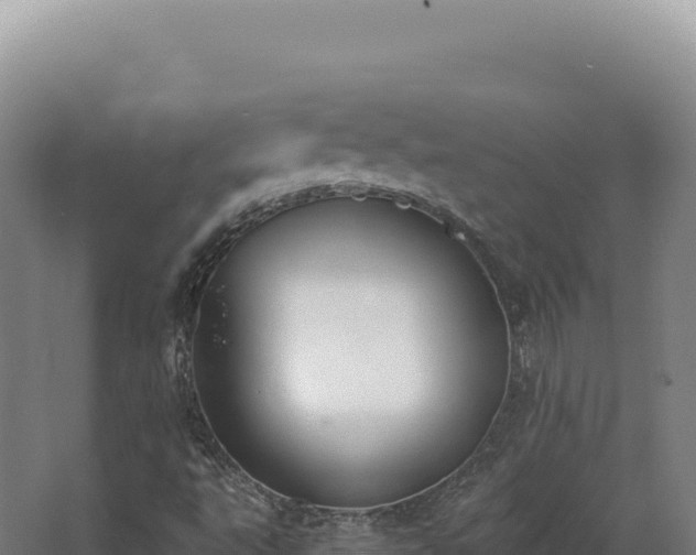 X0000068311495200604281722