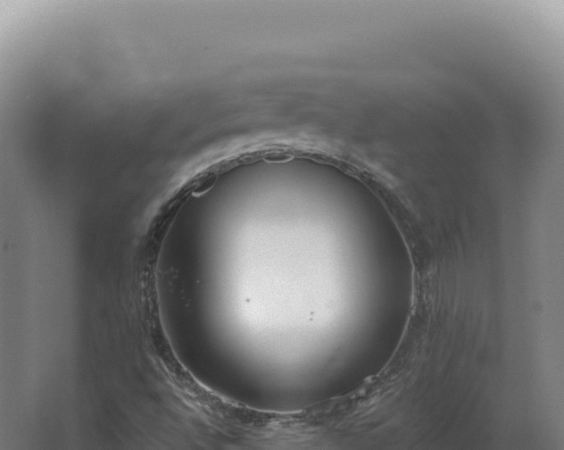 X0000068311496200604281722