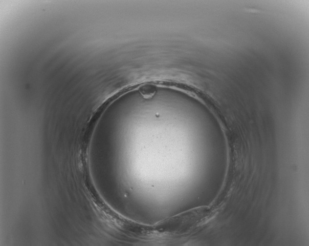 X0000068311497200604281722