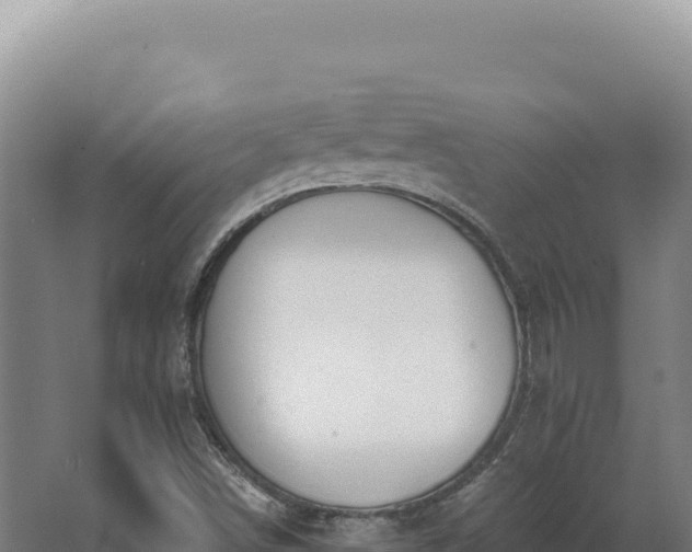 X0000068311498200604281722