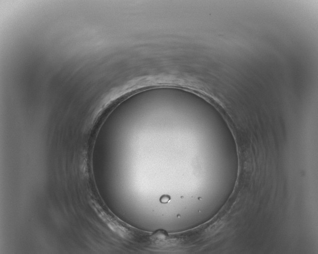 X0000068311499200604281722