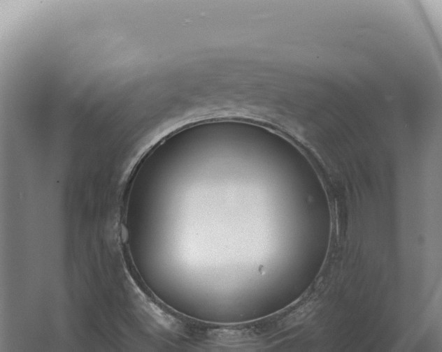 X0000068311500200604281722