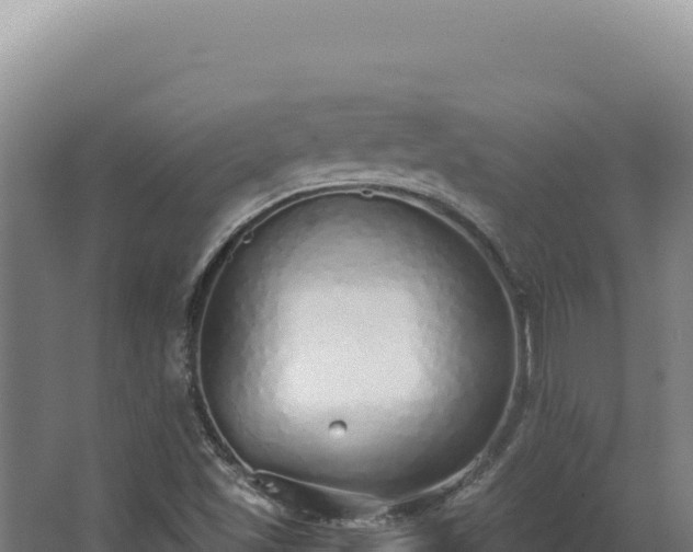 X0000068311501200604281722