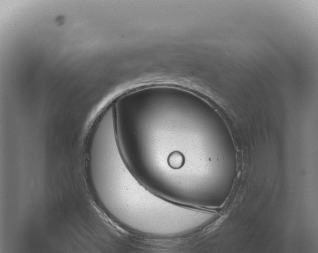 X0000068311502200604281722