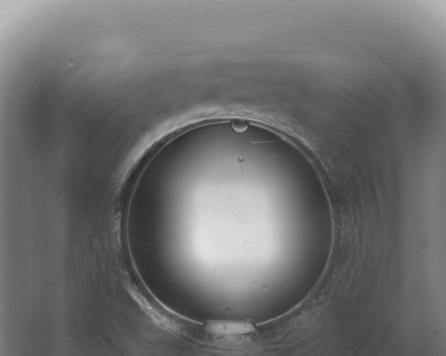 X0000068311503200604281722