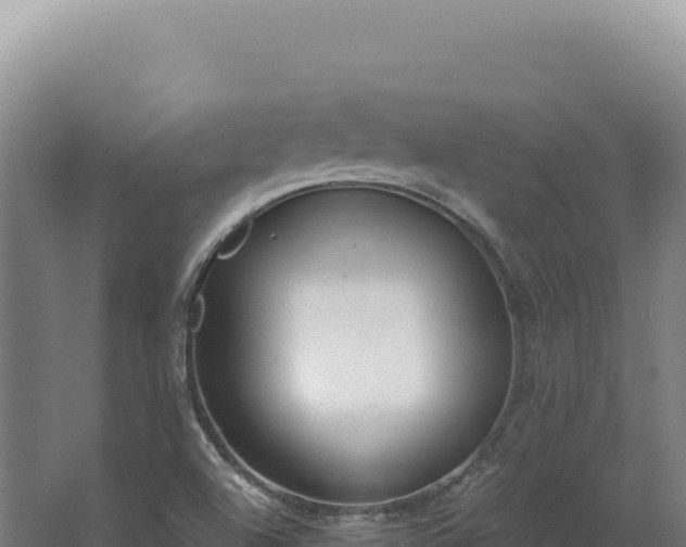 X0000068311504200604281722