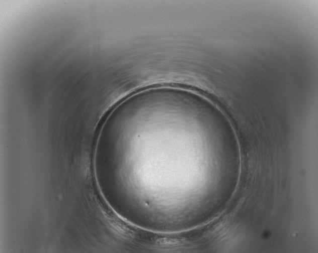 X0000068311505200604281722