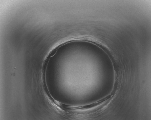 X0000068311506200604281722