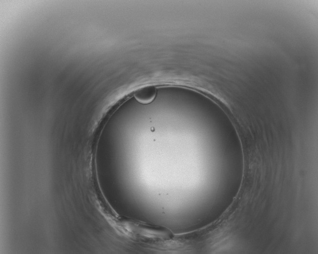 X0000068311507200604281722