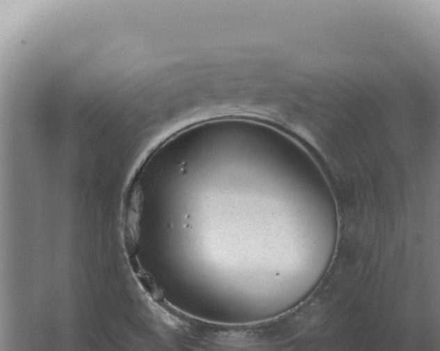 X0000068311508200604281722