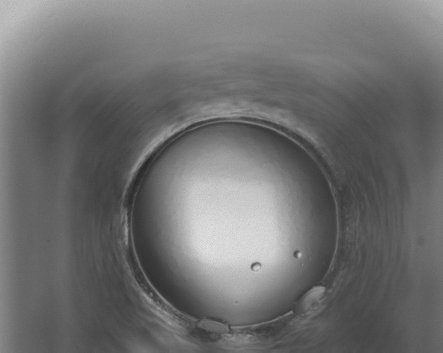 X0000068311509200604281722