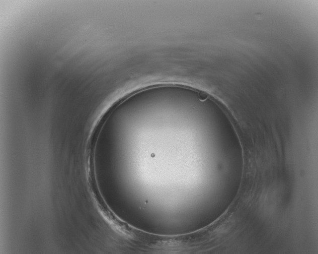 X0000068311511200604281722