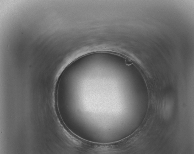 X0000068311512200604281722