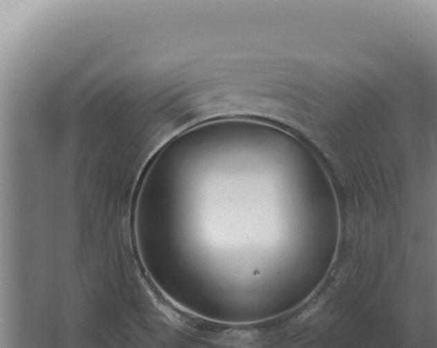 X0000068311513200604281722