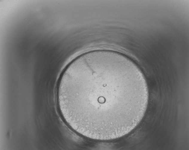 X0000068311514200604281722