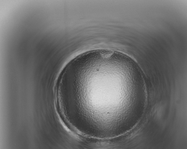 X0000068311515200604281722